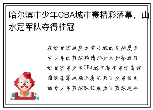 哈尔滨市少年CBA城市赛精彩落幕，山水冠军队夺得桂冠