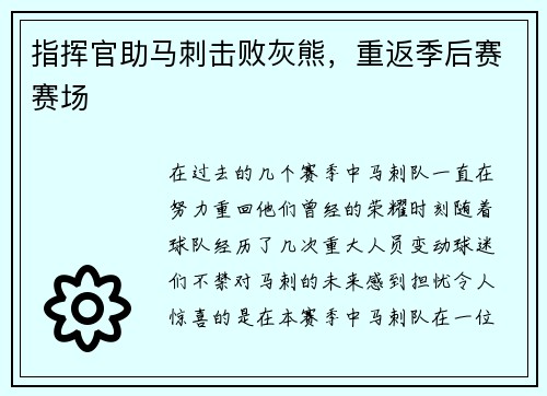 指挥官助马刺击败灰熊，重返季后赛赛场